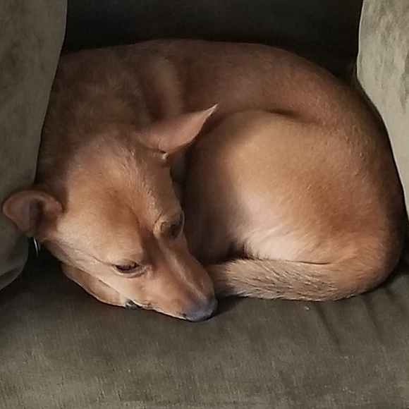 Mile High Moda ~ Fashion from the Mile High City of Denver - Picture 2 of 8